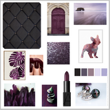 Black Aubergine Mood Board Colour Ideas Interior Decor NoticeBoardStore/Blogs/News